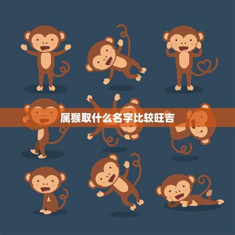 屬猴名字|生肖猴取名宜忌：打造一生旺運好名字